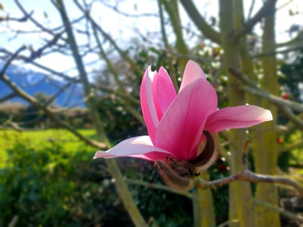 Te Mahuru Retreat Kaikoura Eksteriør billede