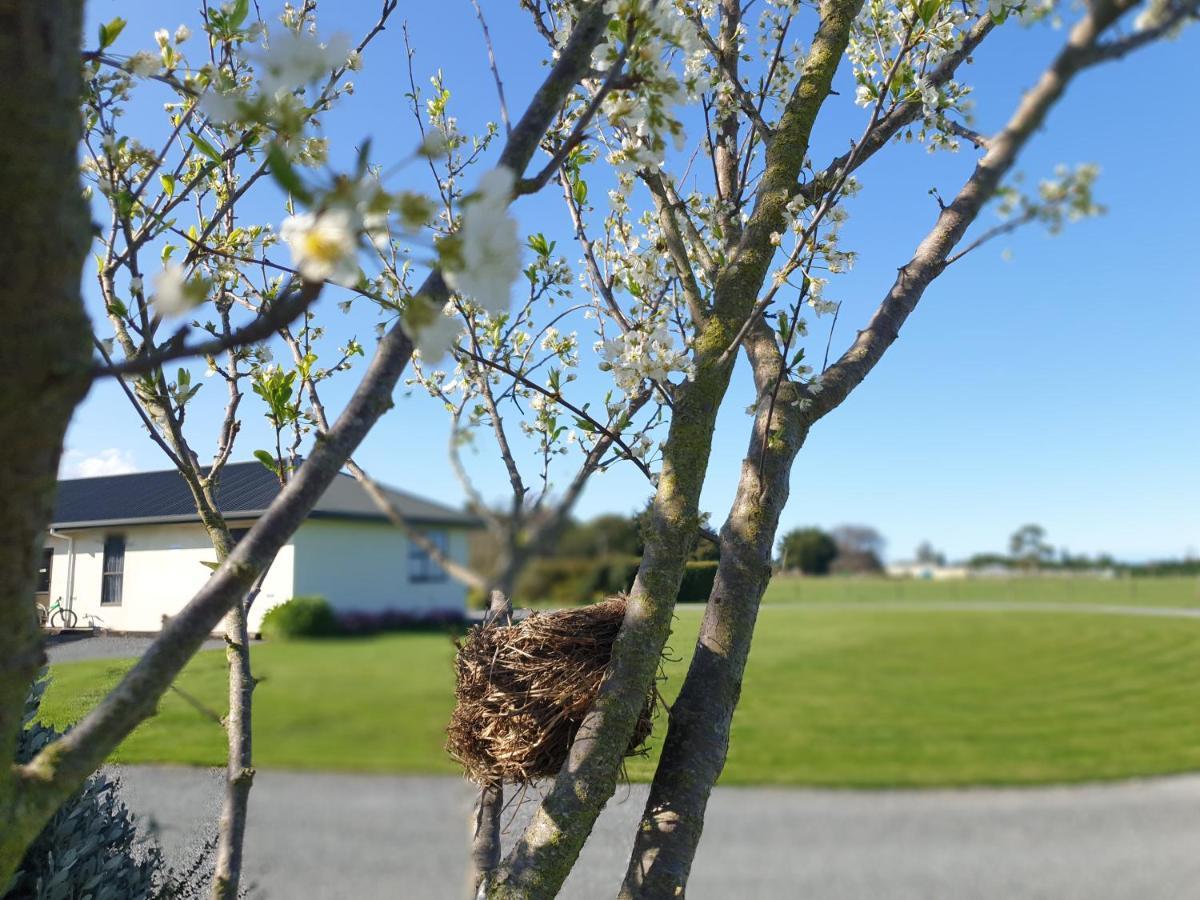 Te Mahuru Retreat Kaikoura Eksteriør billede